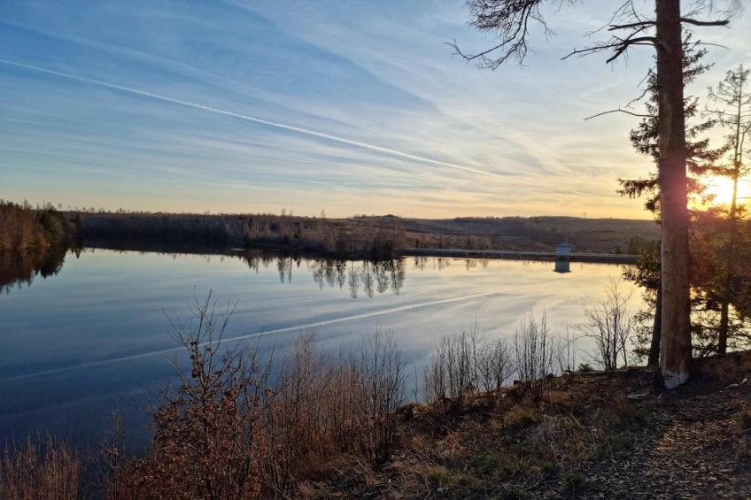 Ferienhaus in Hasselfelde - Haus 59 Blauvogel - foto 37