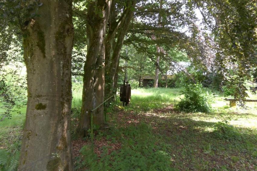 Design Ferienwohnung in historischer Villa - foto 15