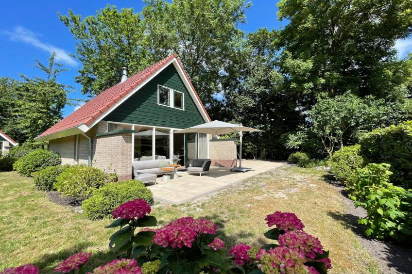 Zon in de duinen - 33 - foto 8