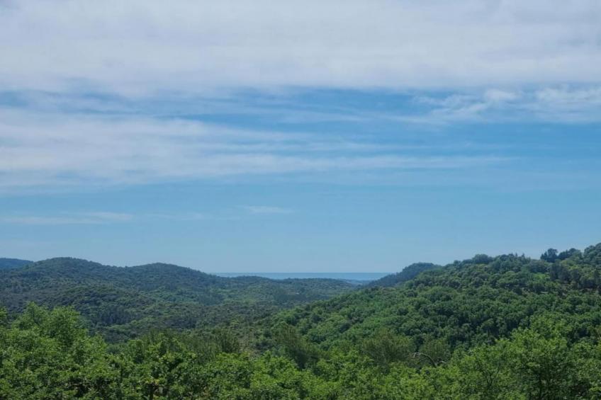 Mas du Pairois - foto 33