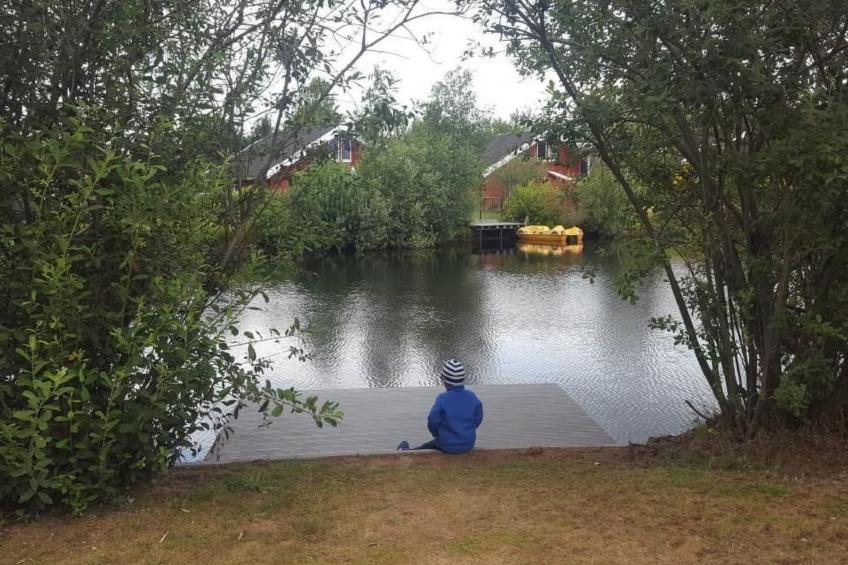 Pinto Béla - foto 35