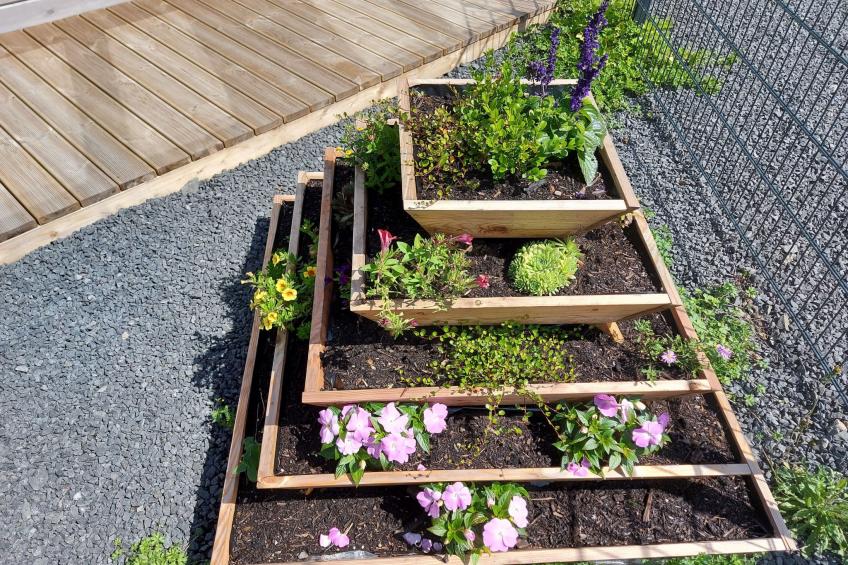 Holzhaus Sarahlita in Enspel - foto 28