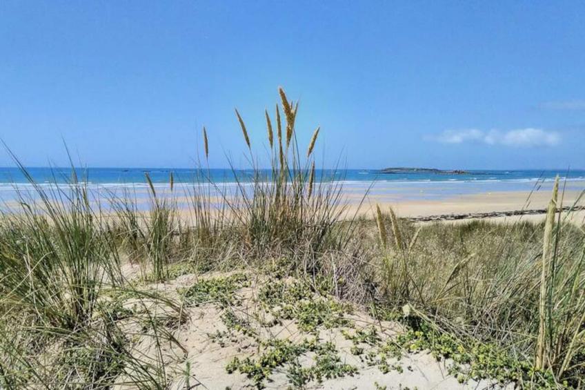 Résidence 13 Rue Brizeux - foto 18