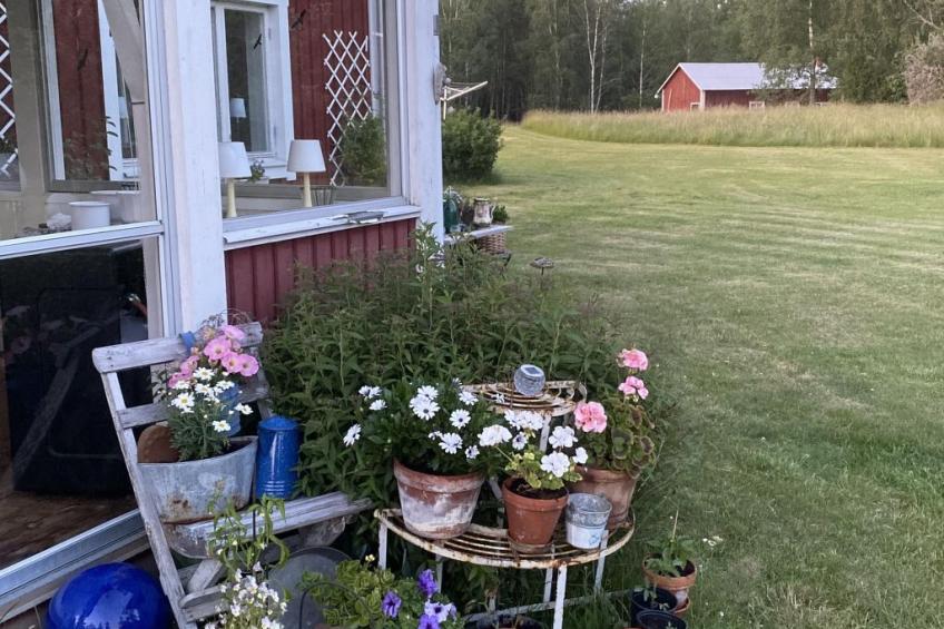 Skuggebo Gårdsjön - foto 8