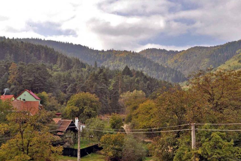 Casa Crina - rustikale Ferienvilla in Siebenbürgen - foto 14