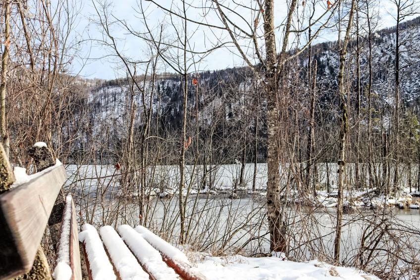 Spatzennest - foto 13