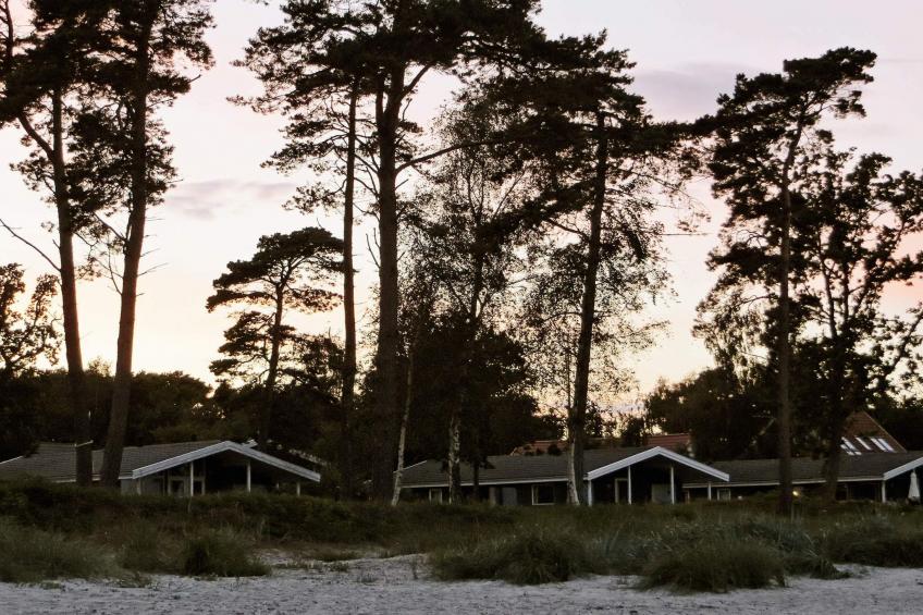 FUGLEKONGEN - foto 9