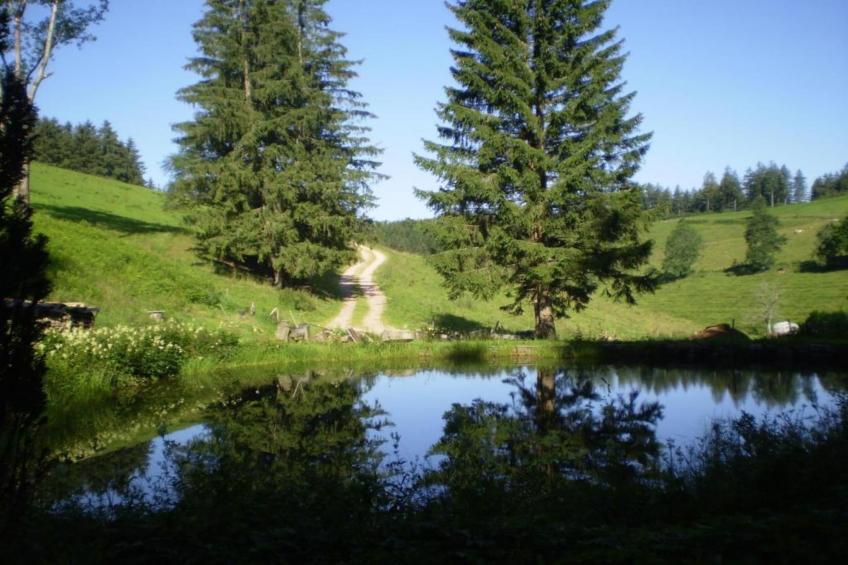 Im Hotzenwald - foto 29