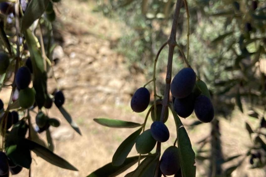 Casa Mediteraneo - foto 18