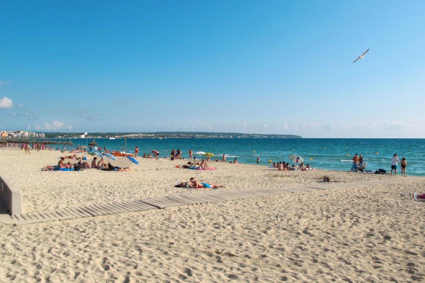 Caballeria 12 - foto 7