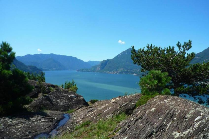 Bilo Walter 1 piano - foto 30