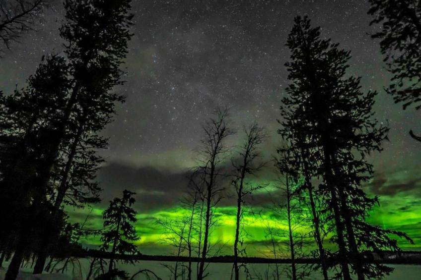 Villa Majringen - foto 33