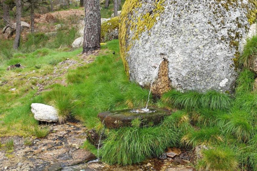 "Haus der Schwäne" - Geopark Serra da Estrela - foto 28