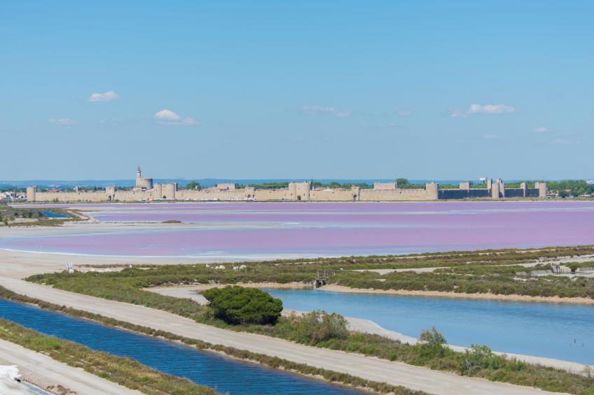 Villa Beauvau - foto 55