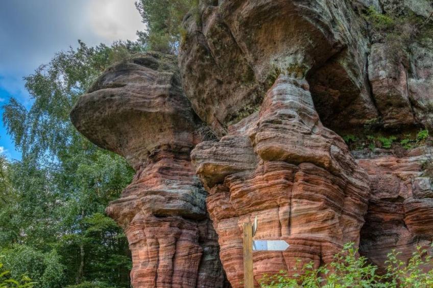 Gemütliches Ferienhaus mit Garten - foto 11