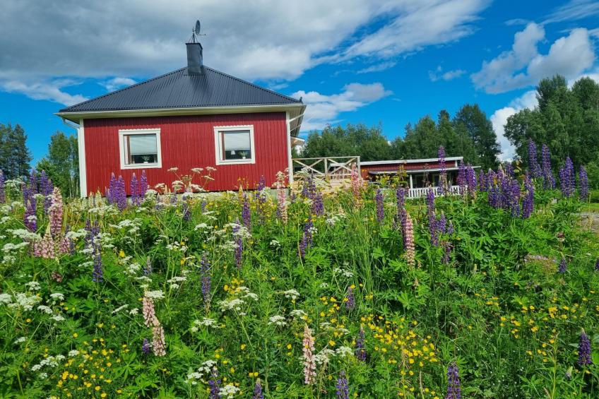 Villa Norrsken - foto 48