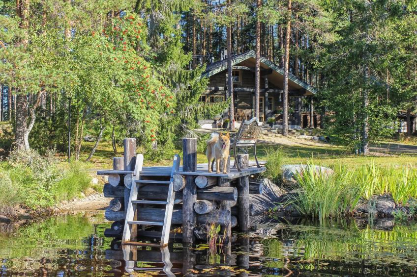 Hamppulahti - foto 33