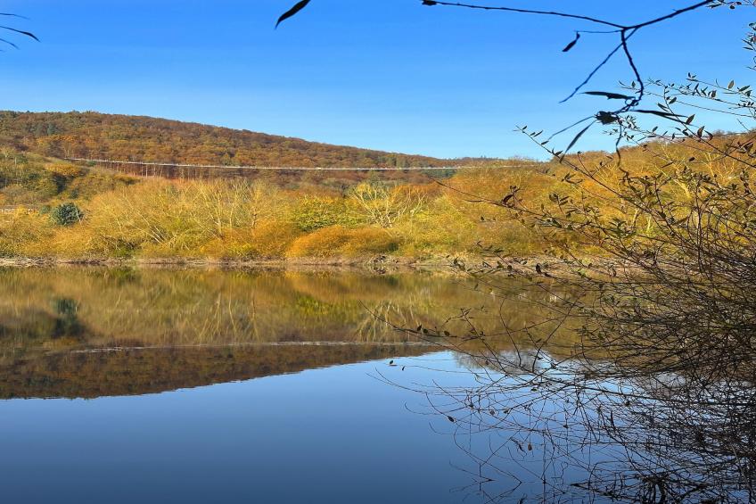 Ronshausen - foto 31