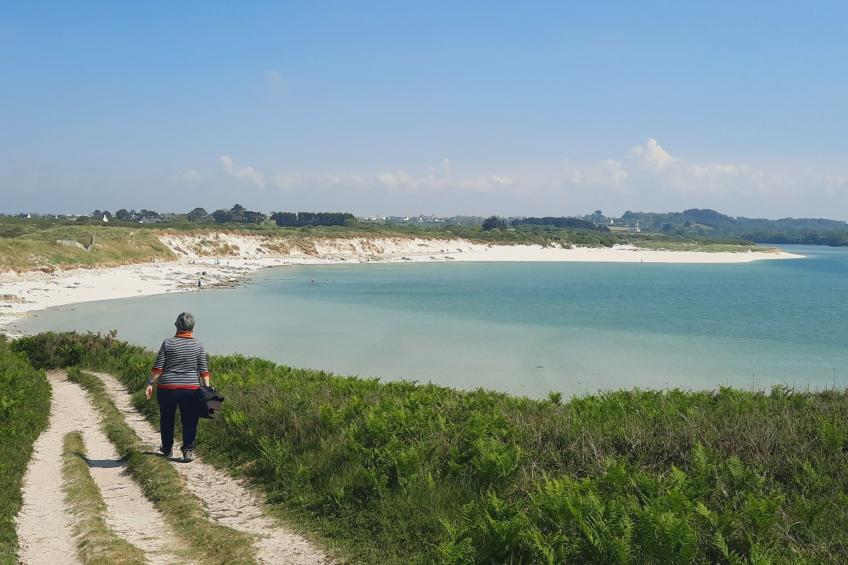 Die Ruhe des Landes am Meer in einer Region mit Gemüseanbau - foto 55
