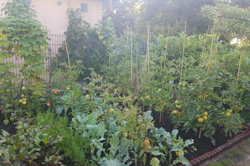 Appartement in Żarnowska mit Großem Garten - foto 8