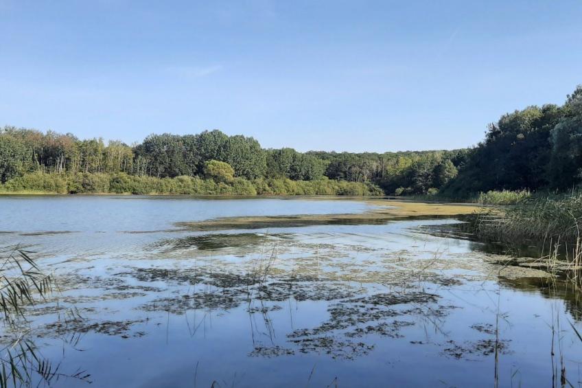 Fachwerkhaus "Charme - foto 23