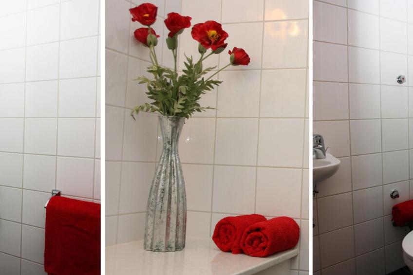 Haus mit großem Garten, Terrasse und Balkon - foto 11