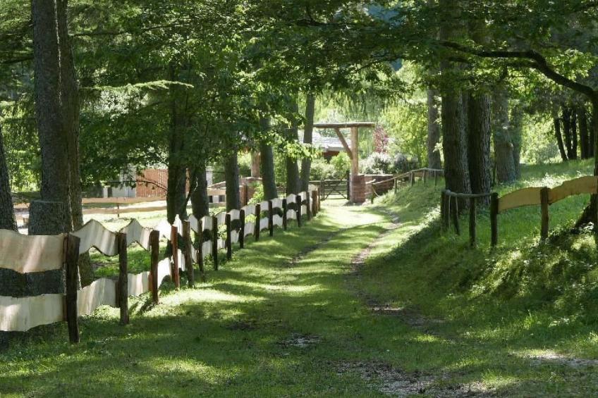 in Walscheid mit Terrasse, Grill - foto 68