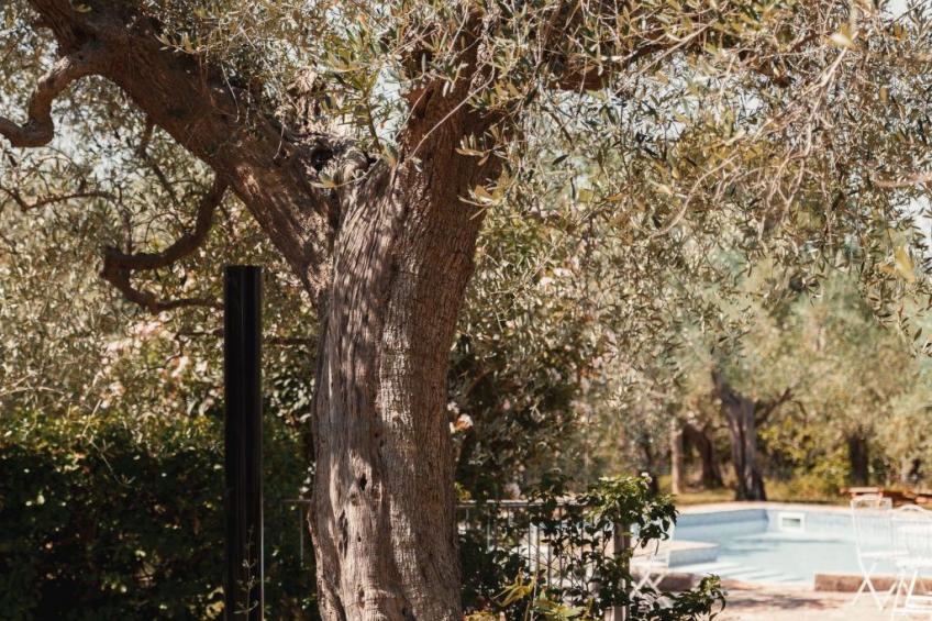In einem Bauernhaus in den Hügeln, mit Garten und Pool - foto 14