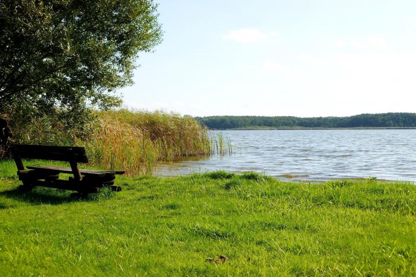 Ferienhaus 4 Elemente - foto 19