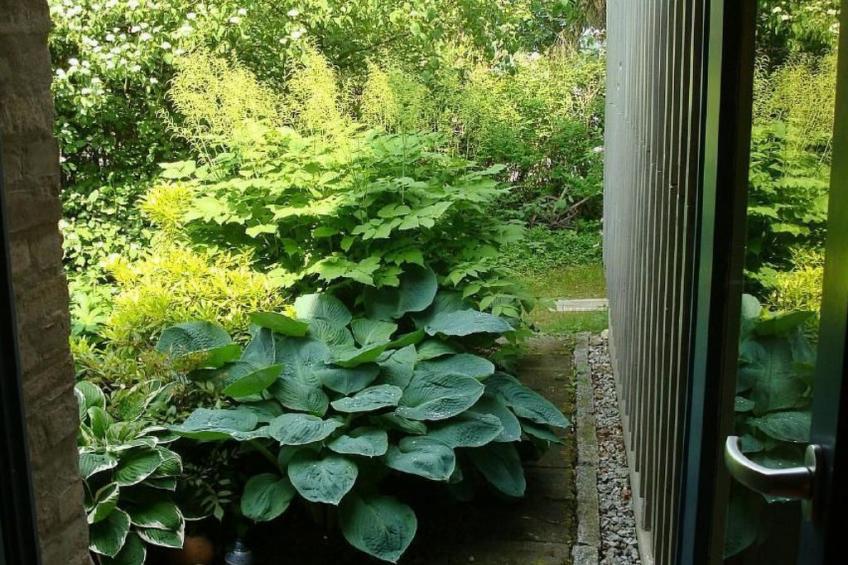 Landlust, Stadtnah -  Fewo im ehemaligem Bauernhaus mit Sauna, Kaminofen und gr - foto 9