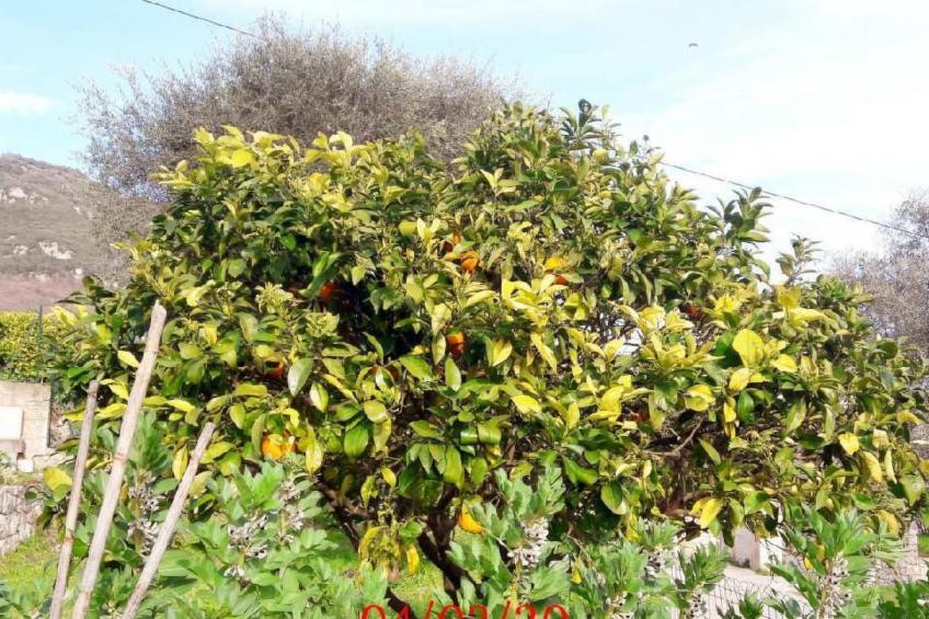 Locations-06 - das haus von noelie 1. stock - foto 25