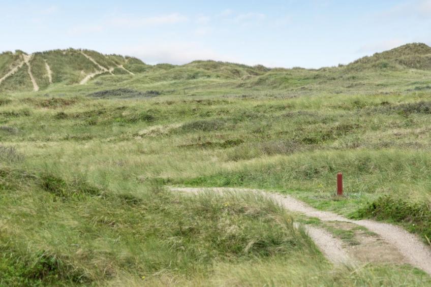 "Betti" - 200m from the sea in Western Jutland - foto 41