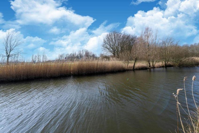 Standaard 308 - foto 30