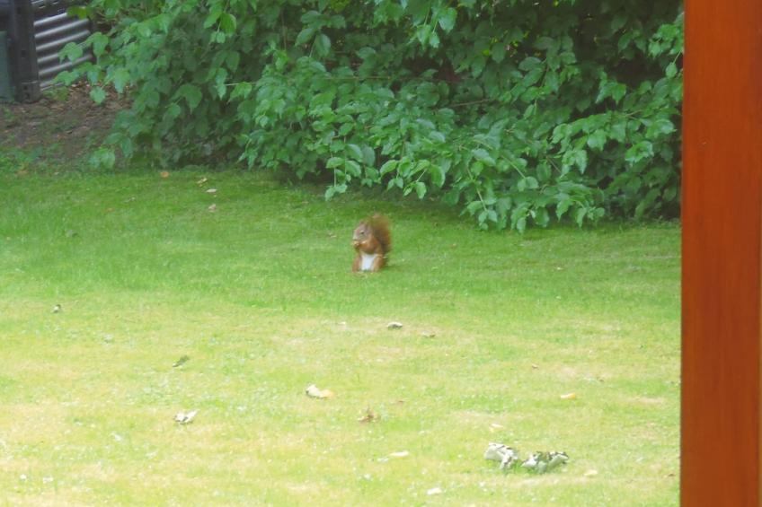 Hummelcasa - foto 39