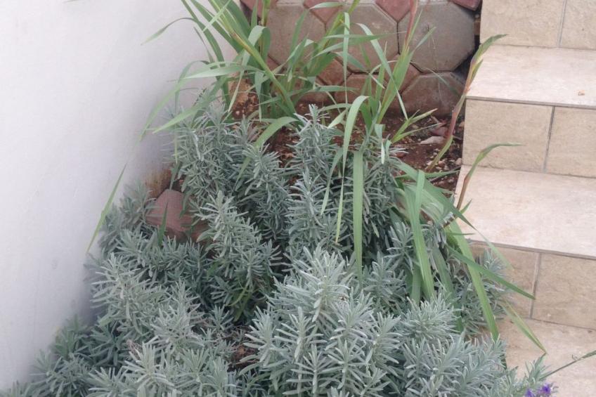 Appartement mit Blick auf das Wasser - foto 38