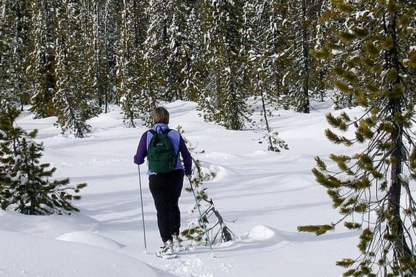Annas Haus im Dolomiten-Nationalpark - foto 14