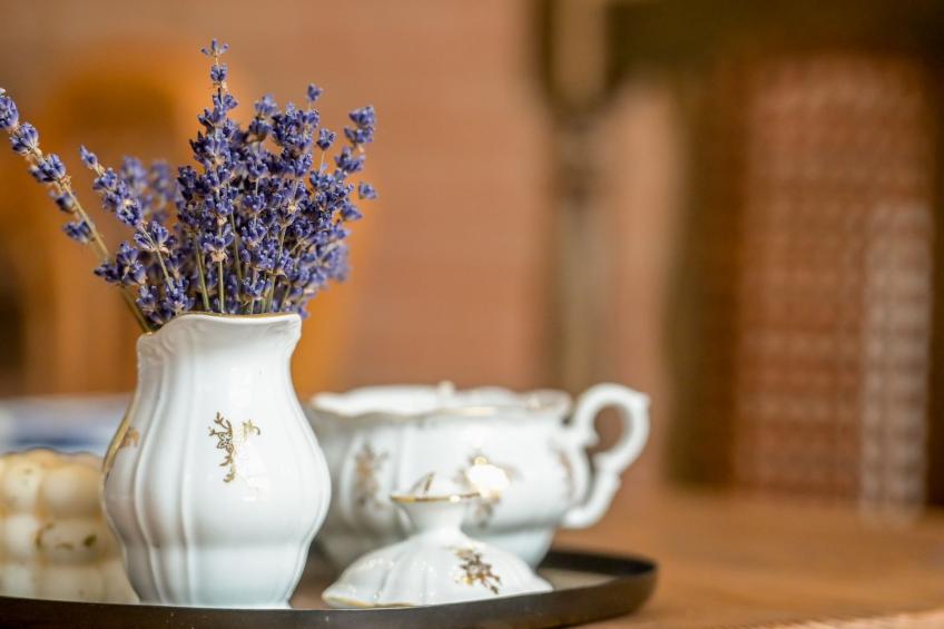 House Imanje Pijevci - foto 23