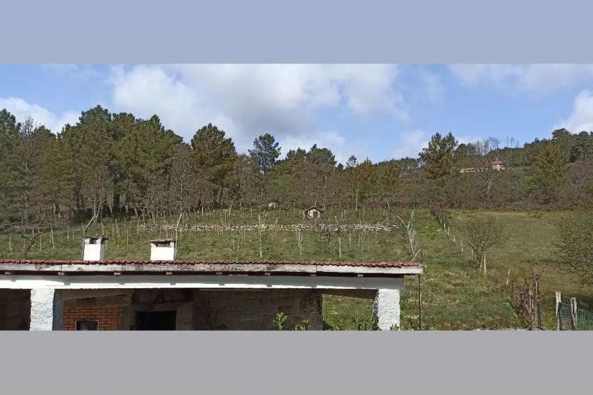 Ferien auf dem Bauernhof mit Weinberg - foto 42