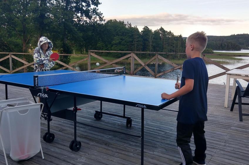 Schwedisches Glück, zwischen Wäldern und einem See - foto 87