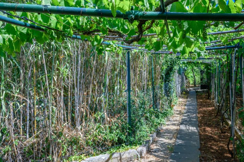 Wunderschönes Ferienhaus in Pomer mit Garten - foto 3