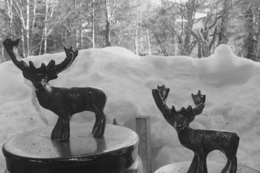 Kräuterhof-Ferienwohnung - foto 18