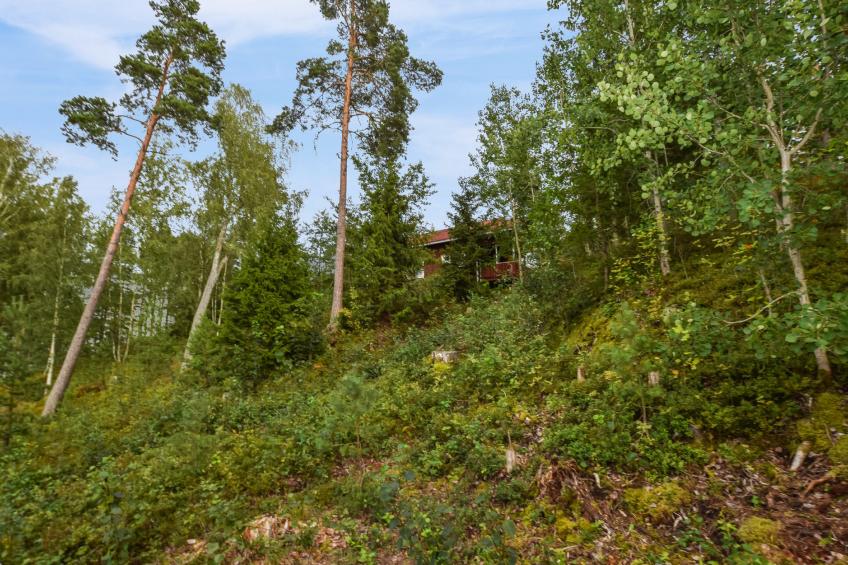 Isokoskelo 5 - foto 58