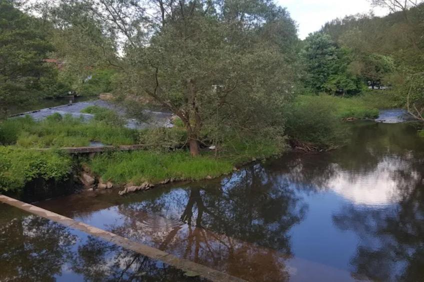 Am Ferienhof - foto 20