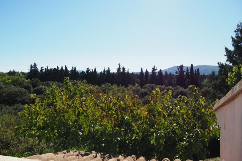 Provenzalisches Haus mit Pool und Garten - foto 25