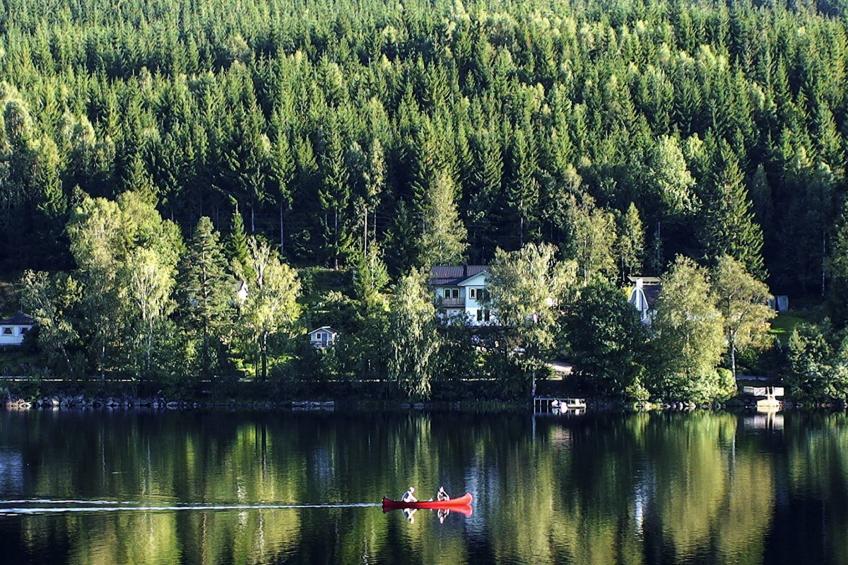 Schwedisches Glück, zwischen Wäldern und einem See - foto 13