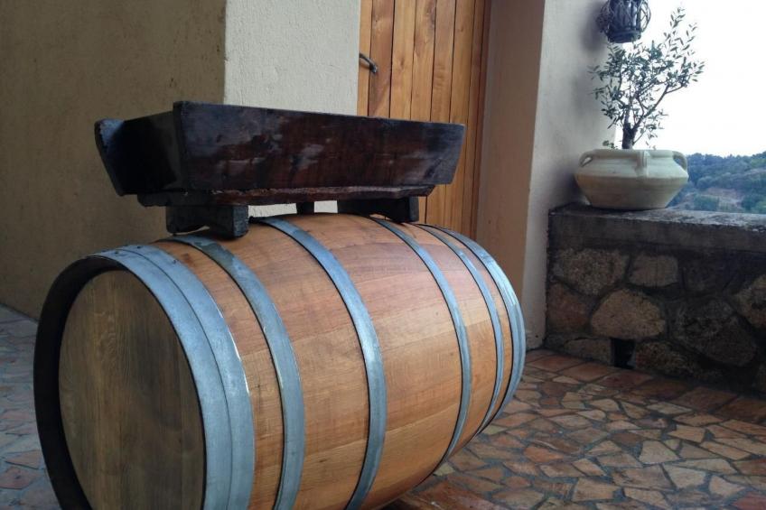 Großes Studio mit Terrasse mit Meerblick - foto 50