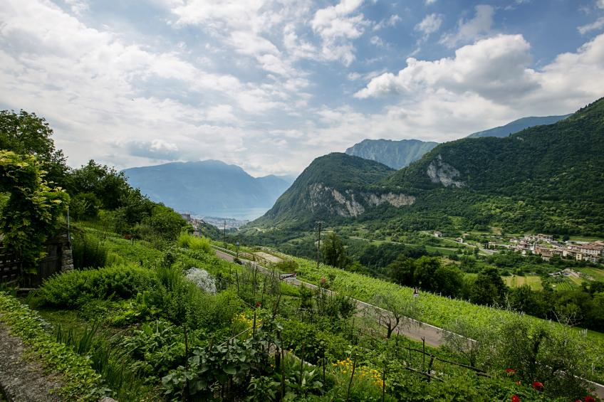 Frapporta 3 - foto 22