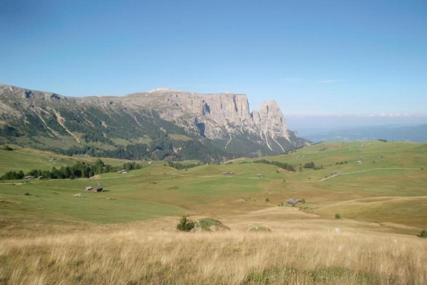 Cortina 4 - foto 22