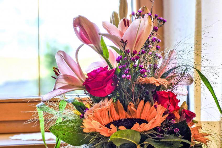 Lueg ins Land - foto 11