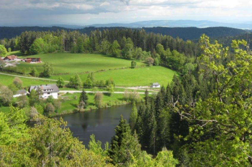 Appartement in Wittenschwand - foto 24